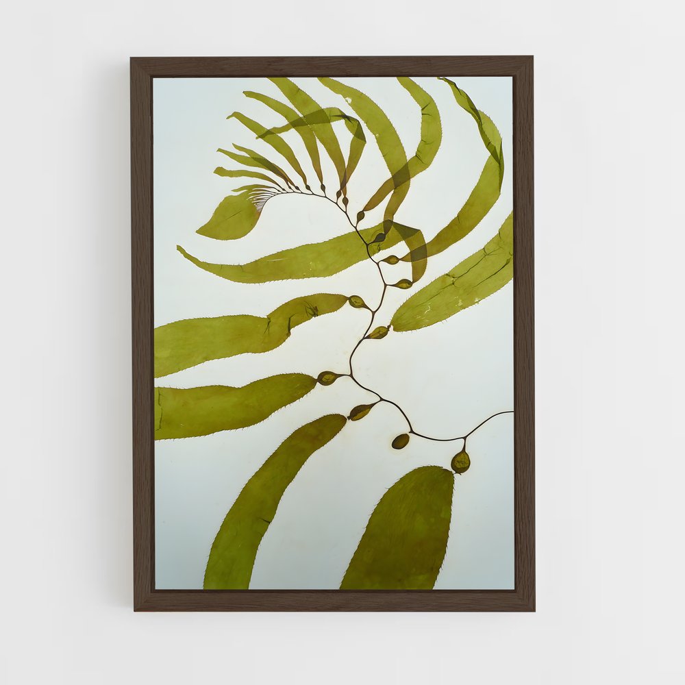 ap-seaweed-1 cadre Bois foncé