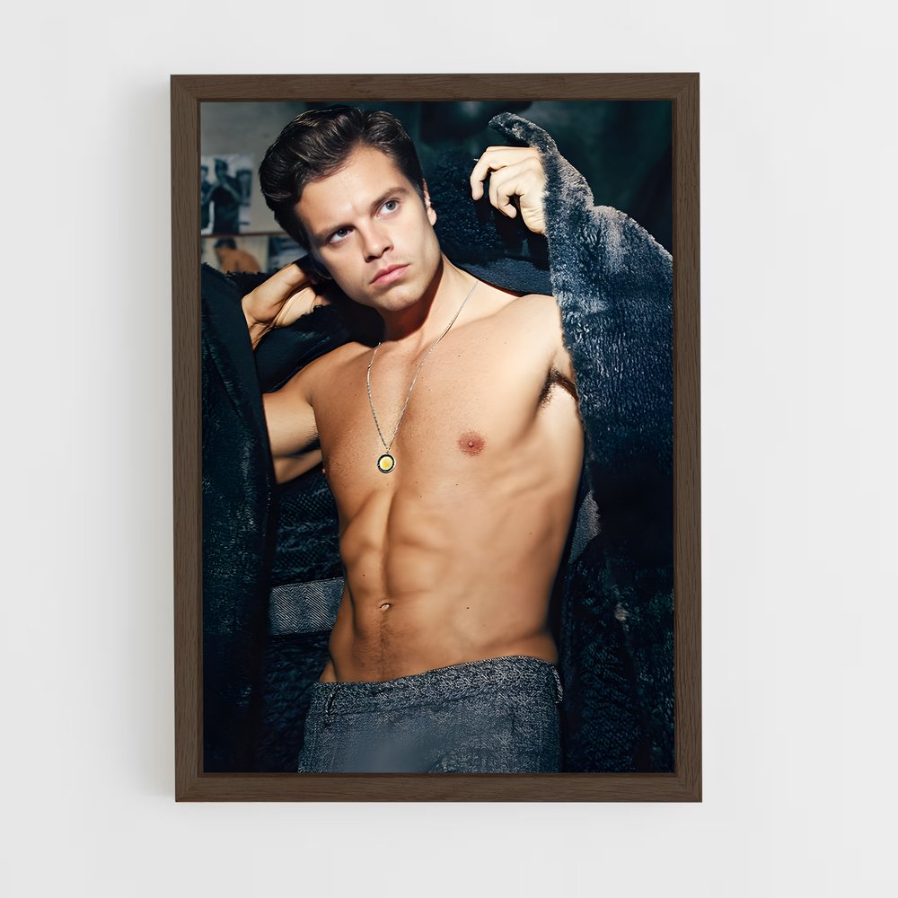ap-sebastian stan-7 cadre Bois foncé