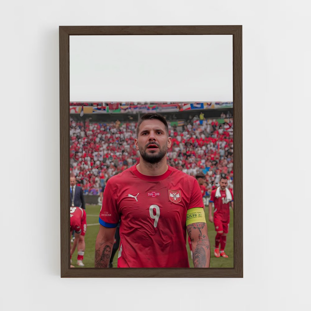 ap-serbia national football team-5 cadre Bois foncé