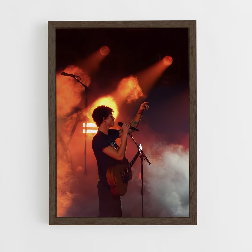 ap-shawn mendes-11 cadre Bois foncé