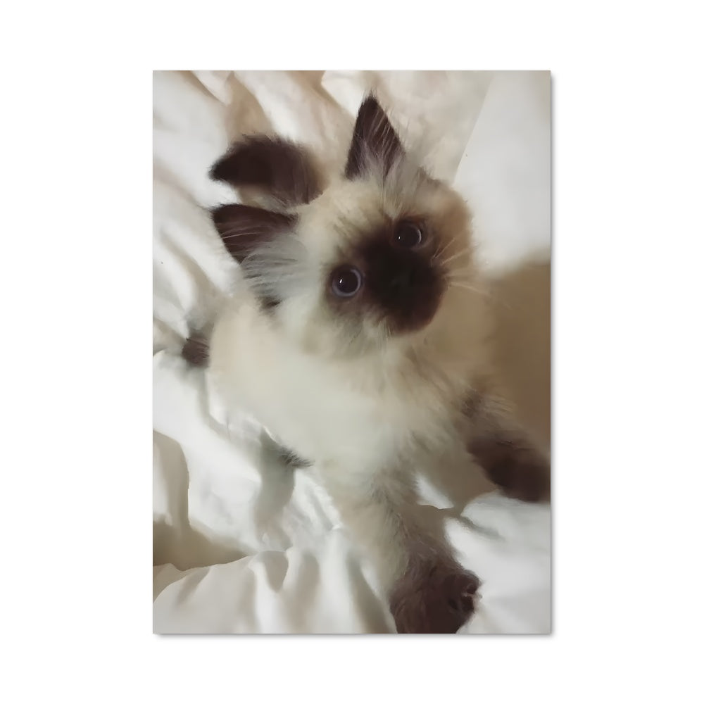 Poster Minou Douillet