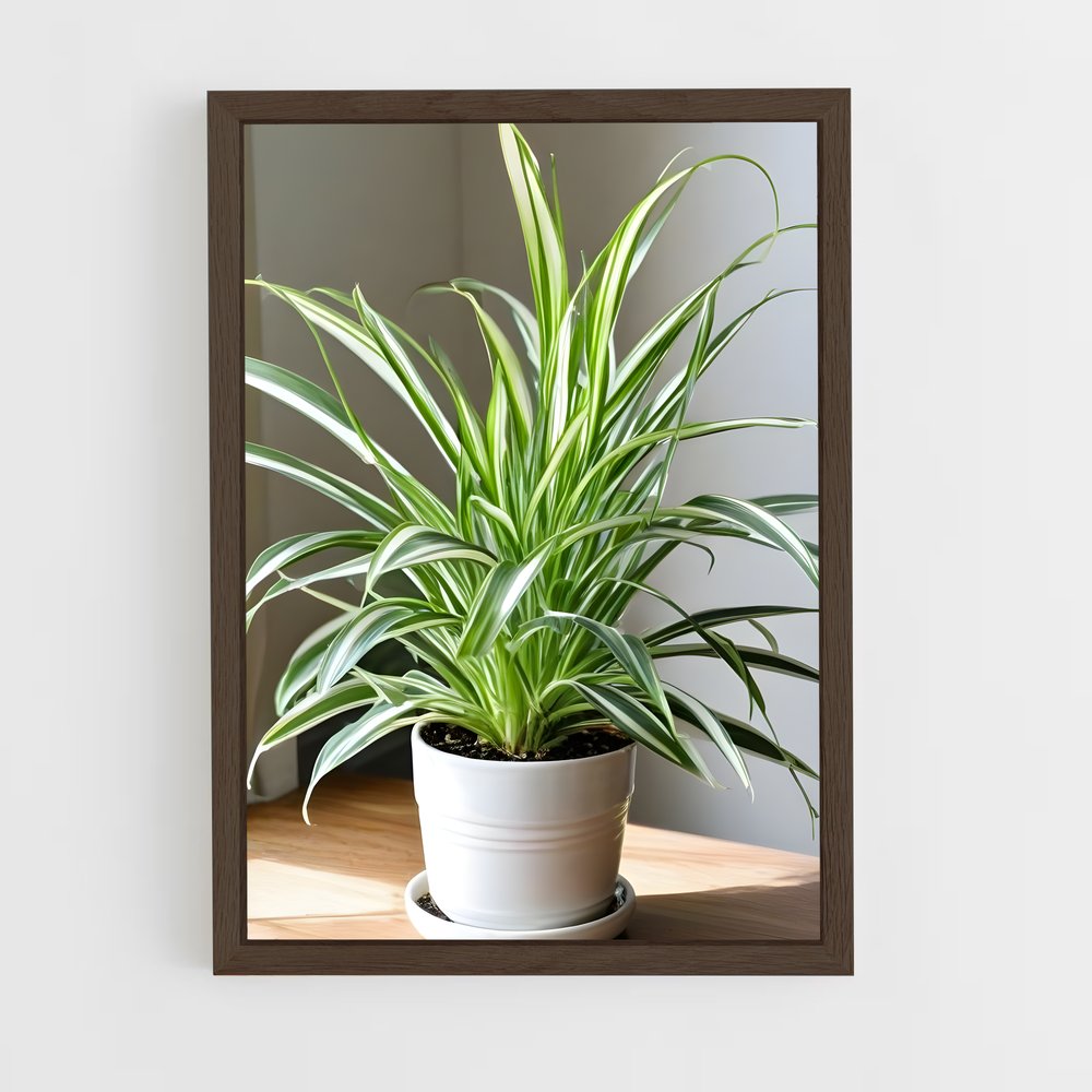 ap-spider plant-2 cadre Bois foncé