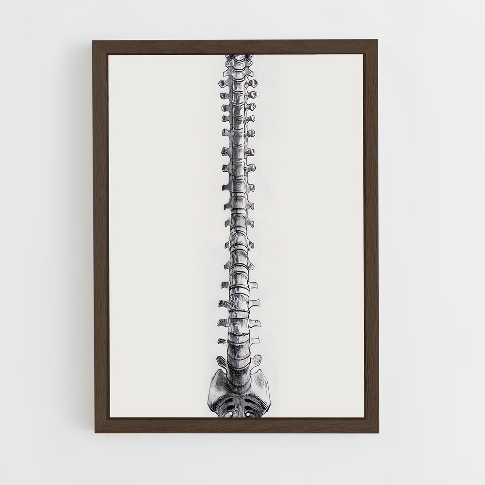 ap-spine-2 cadre Bois foncé