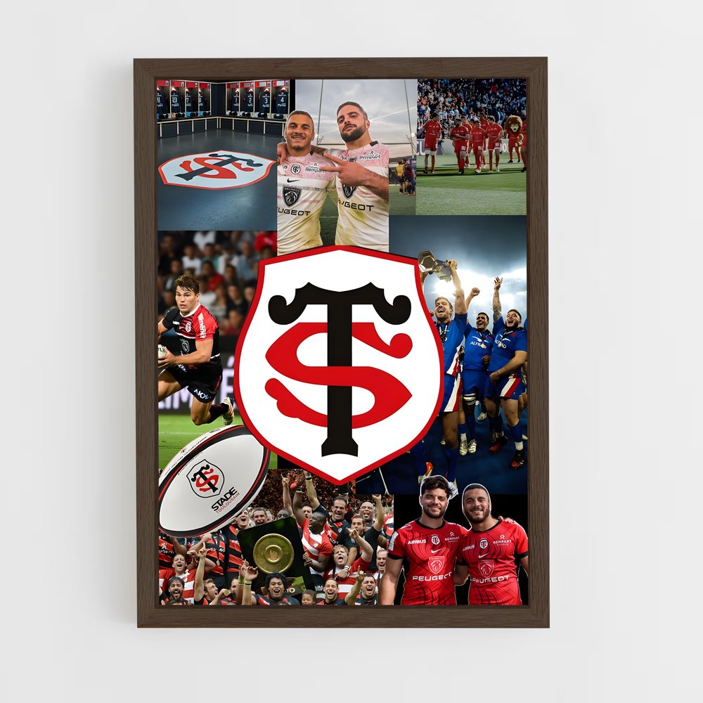 ap-stade toulousain-5 cadre Bois foncé