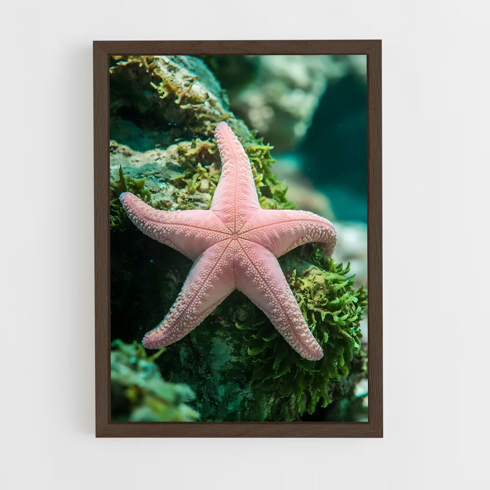 ap-starfish-2 cadre Bois foncé