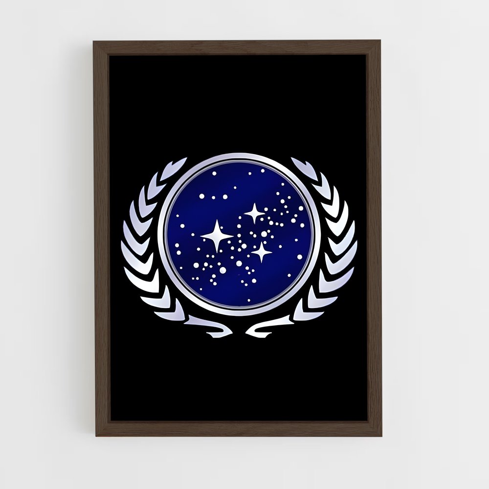 ap-starfleet logo-4 cadre Bois foncé