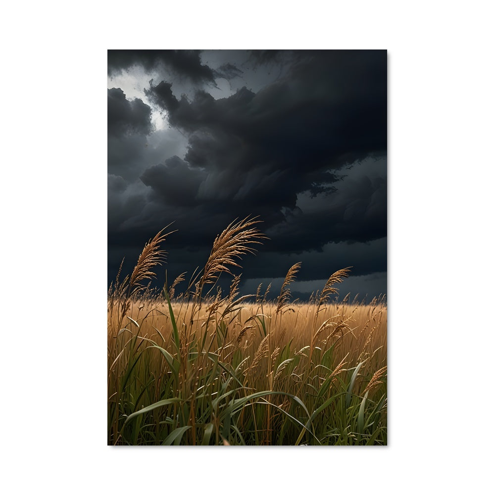 Poster Champ de Brise