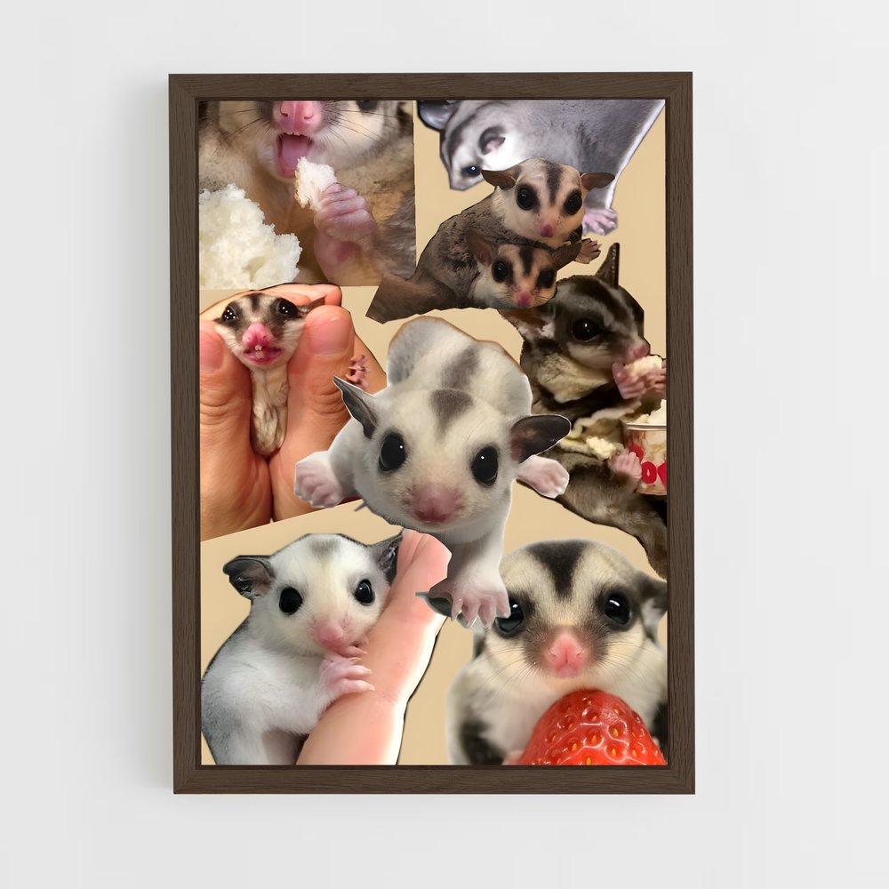 ap-sugar glider-3 cadre Bois foncé
