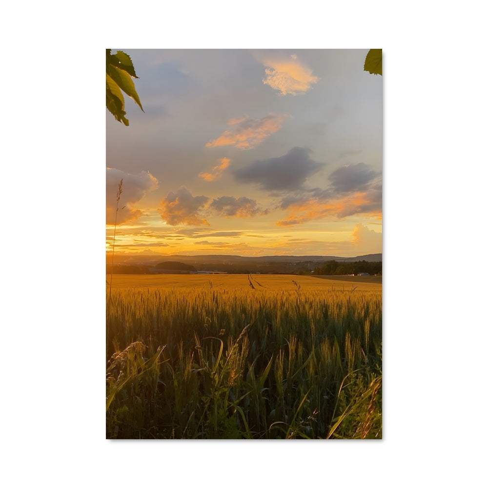Poster Summer 97655