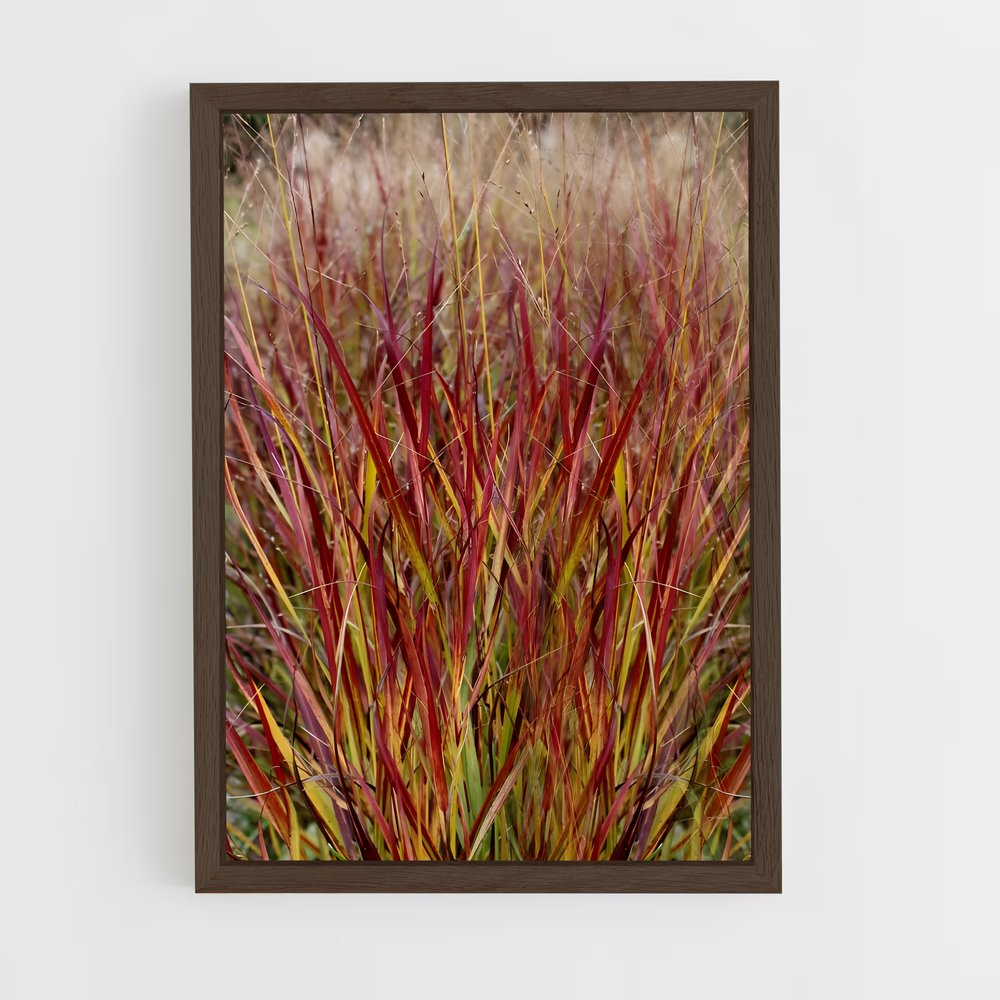 ap-switchgrass-3 cadre Bois foncé