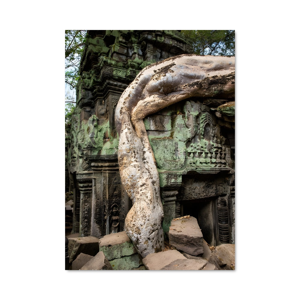 Poster Racines du Passé