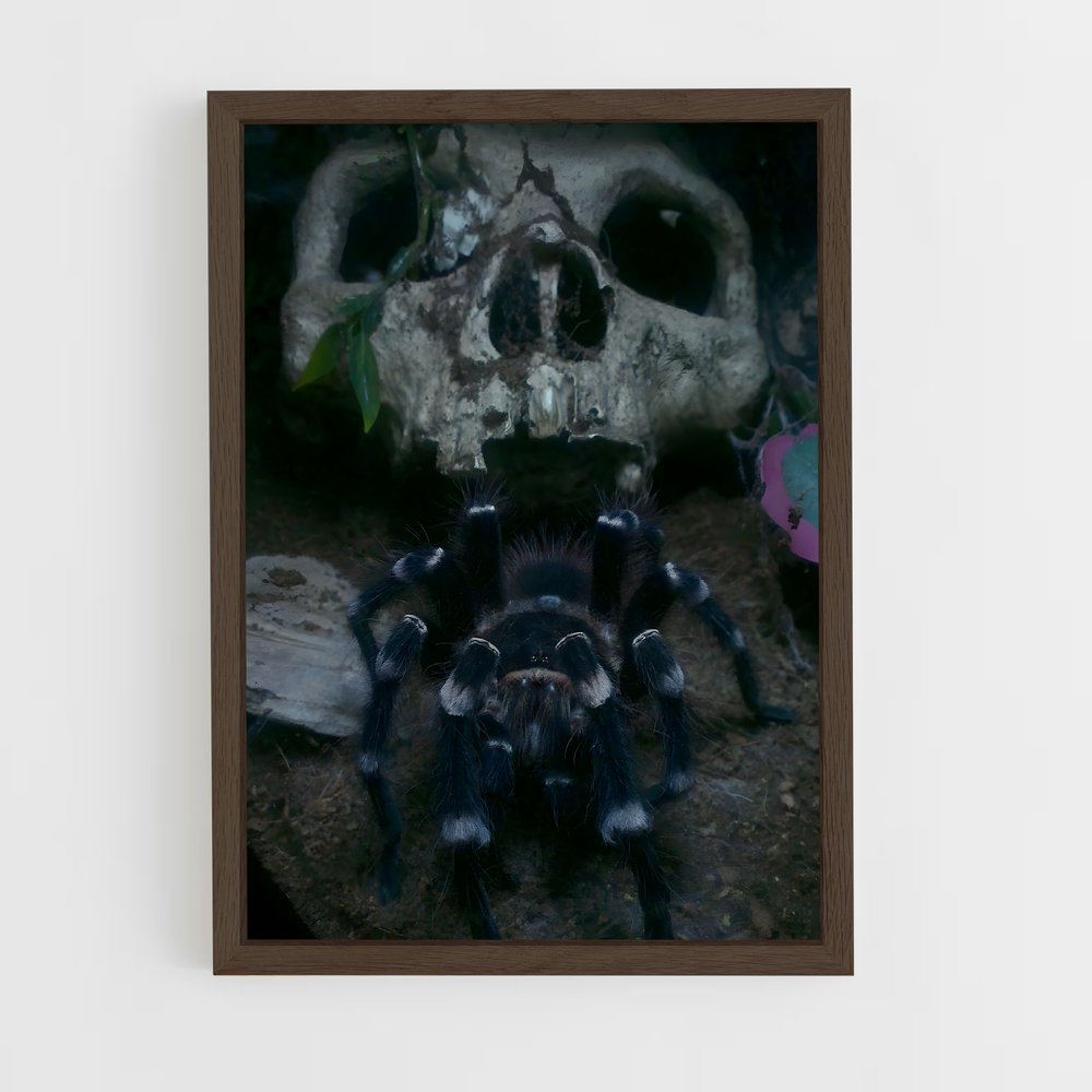 ap-tarantula-1 cadre Bois foncé