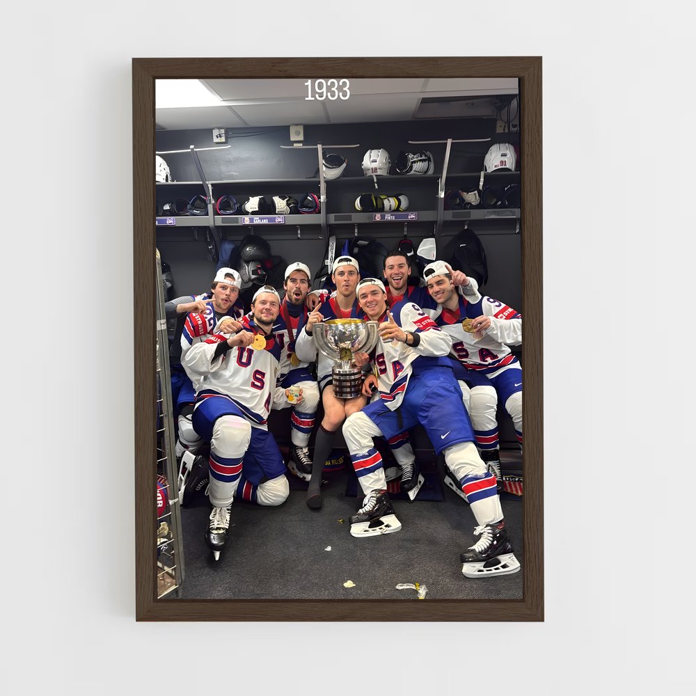 ap-team norway hockey-2 cadre Bois foncé