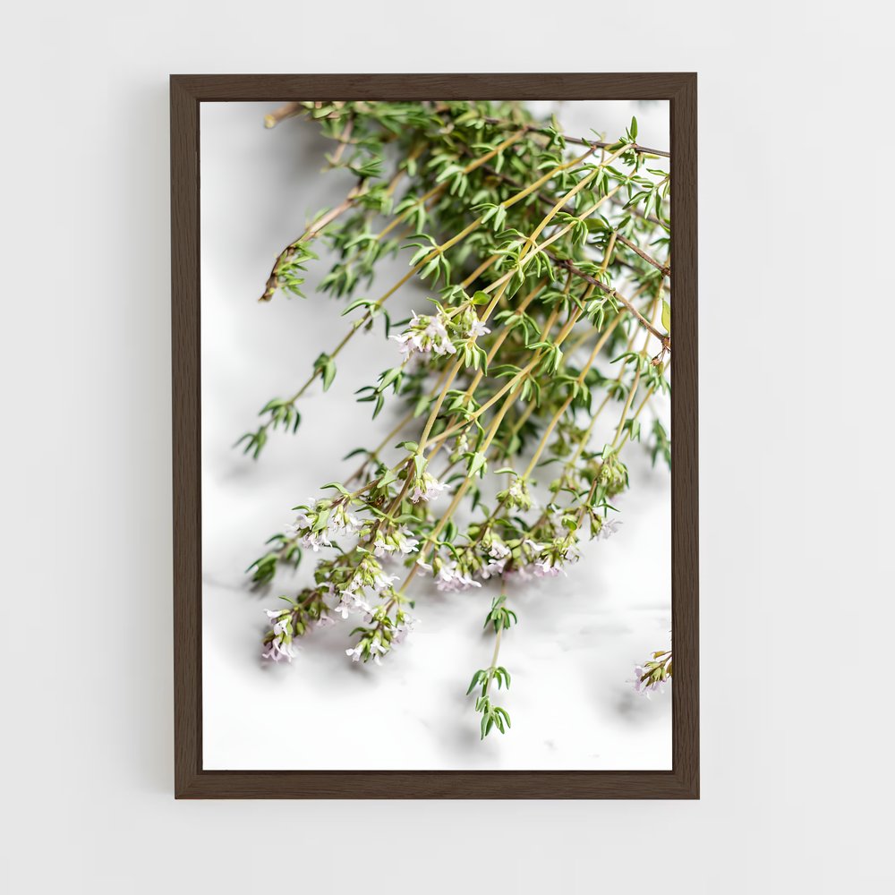 ap-thyme-6 cadre Bois foncé