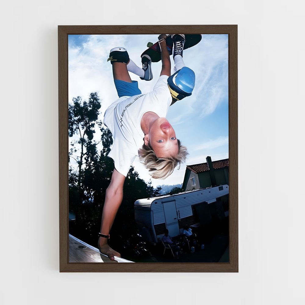 ap-tony hawk-5 cadre Bois foncé