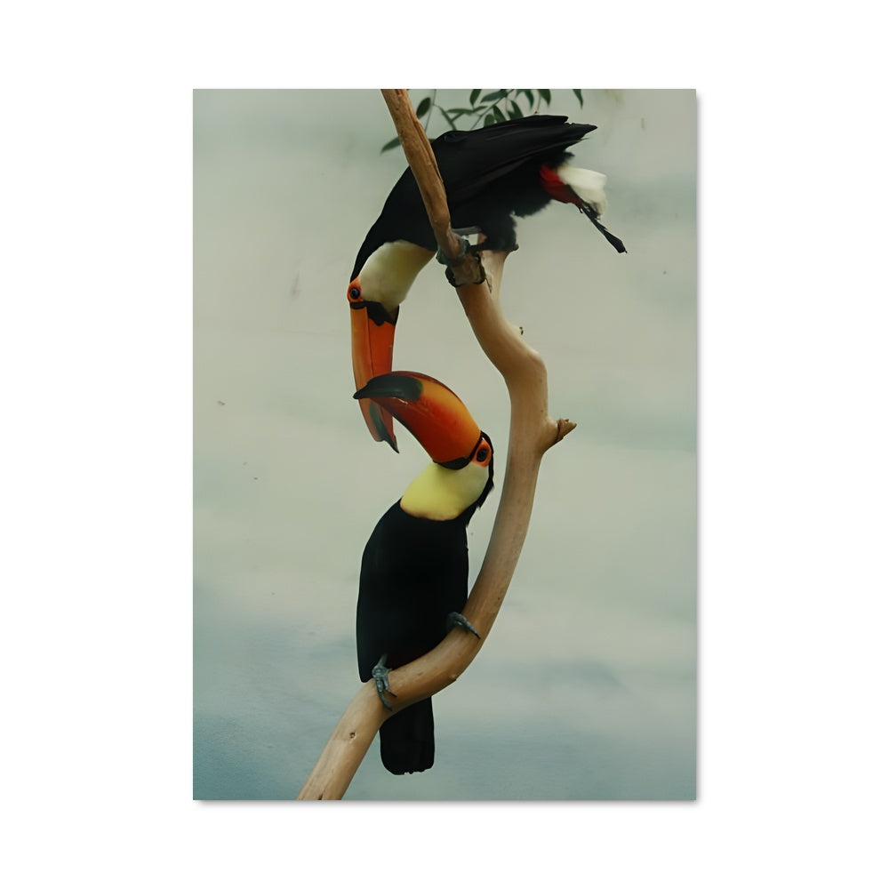 Poster Duo Tropical