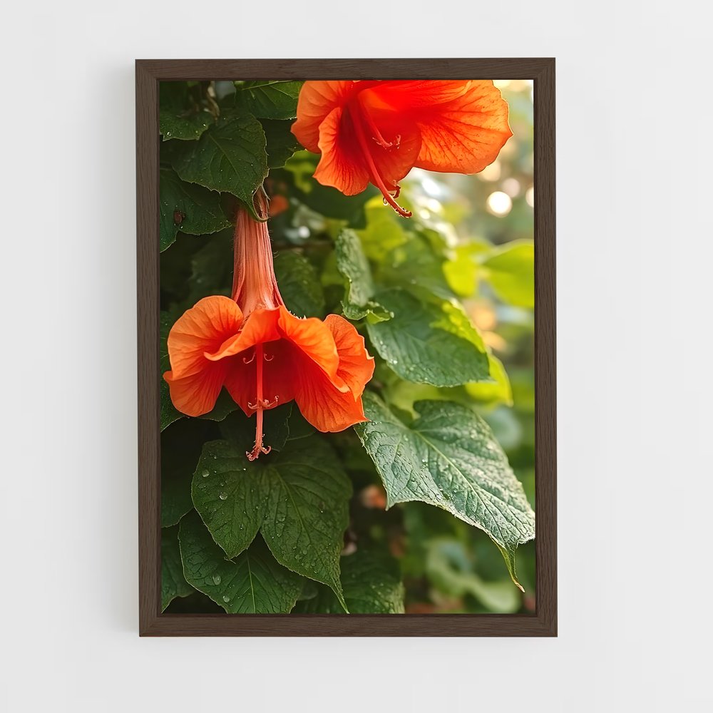 ap-trumpet vine-7 cadre Bois foncé