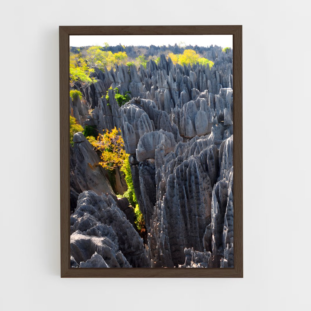 ap-tsingy de bemaraha-3 cadre Bois foncé