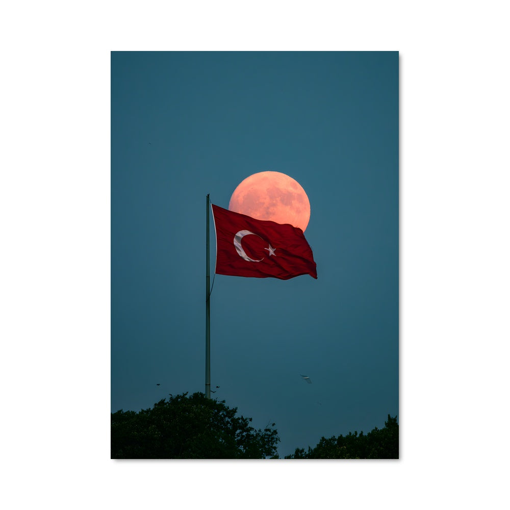 Poster L'Élan Turc