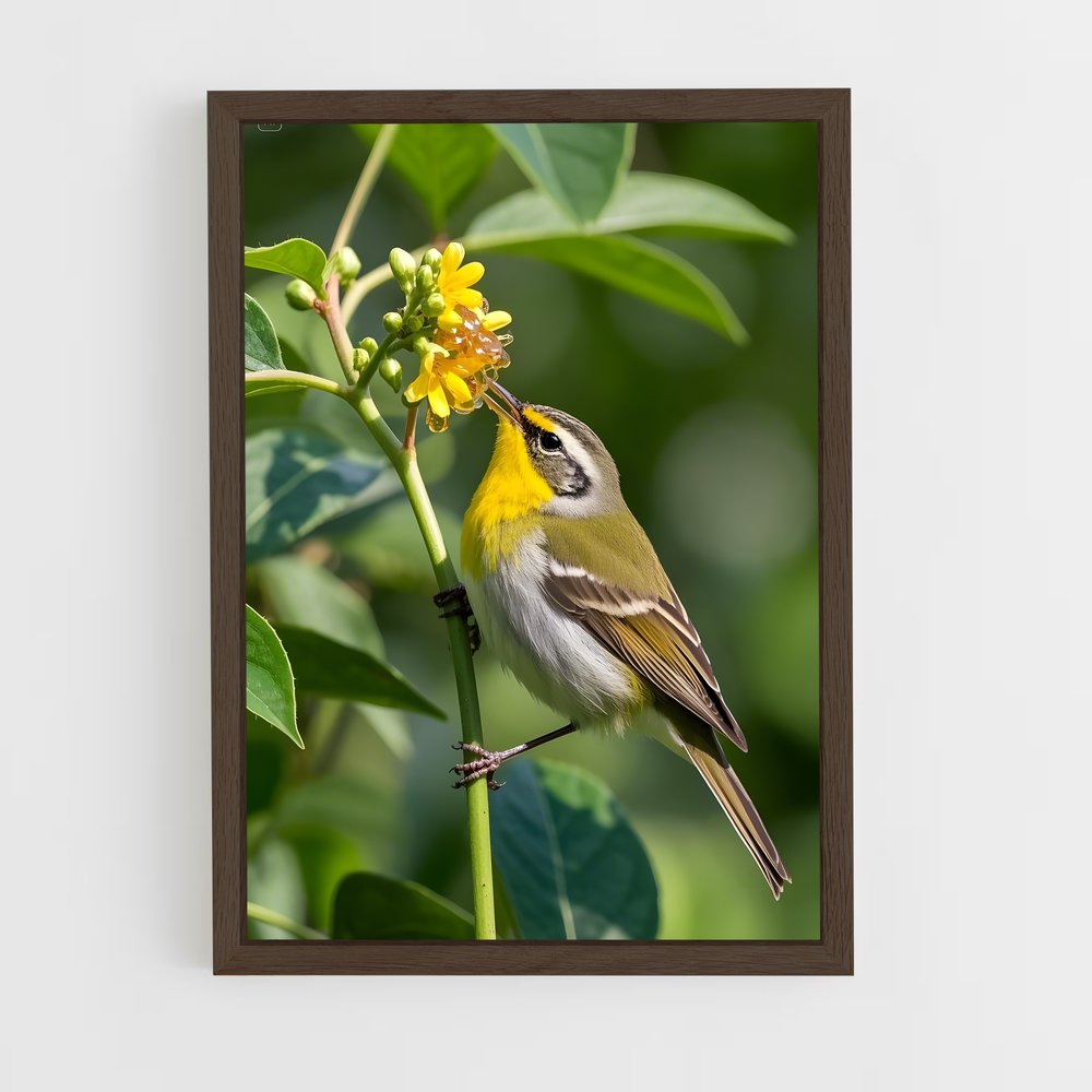 ap-warbler-2 cadre Bois foncé
