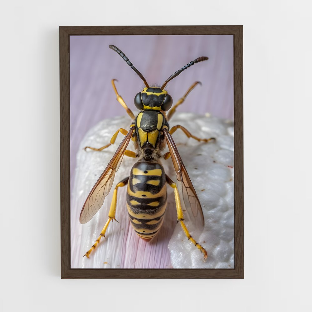 ap-wasp-16 cadre Bois foncé