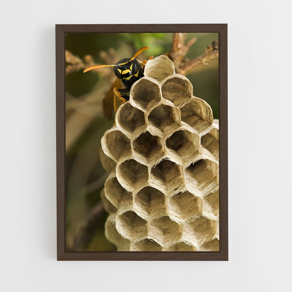 ap-wasp-18 cadre Bois foncé