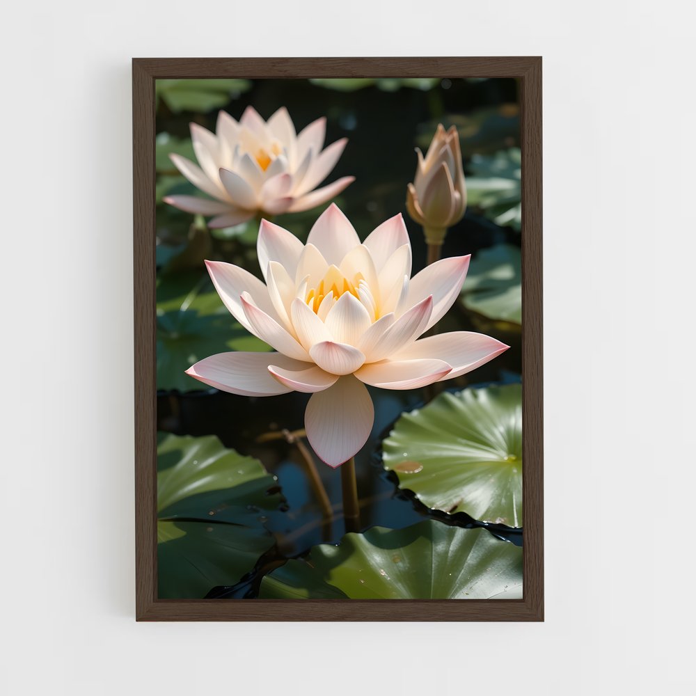 ap-water lily-5 cadre Bois foncé