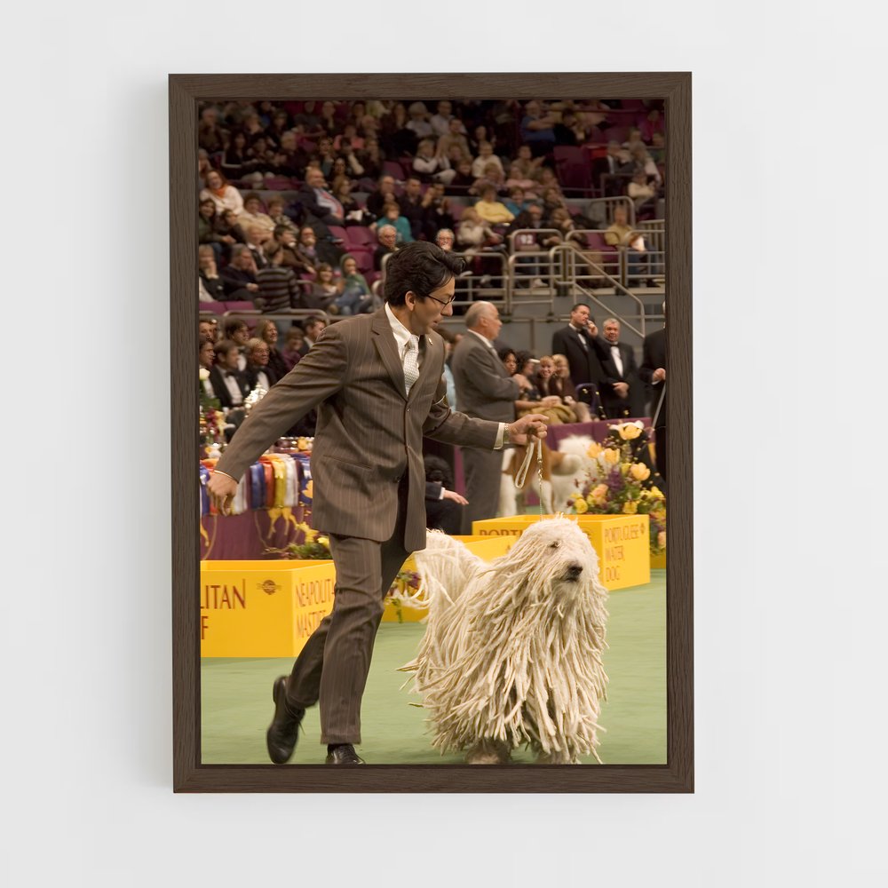 ap-westminster dog show-2 cadre Bois foncé
