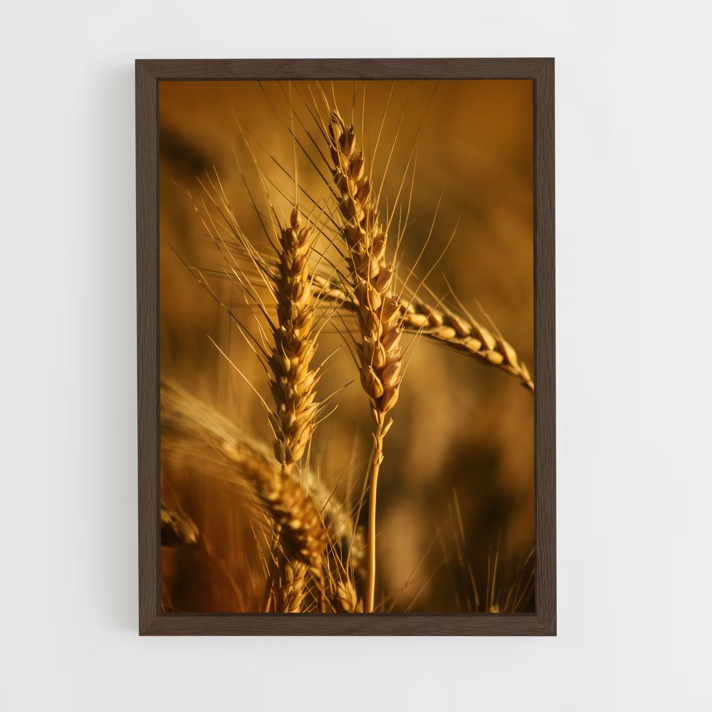 ap-wheat-2 cadre Bois foncé