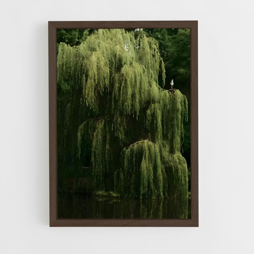 ap-willow-5 cadre Bois foncé