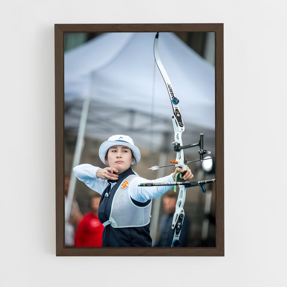 ap-world cup archery-2 cadre Bois foncé