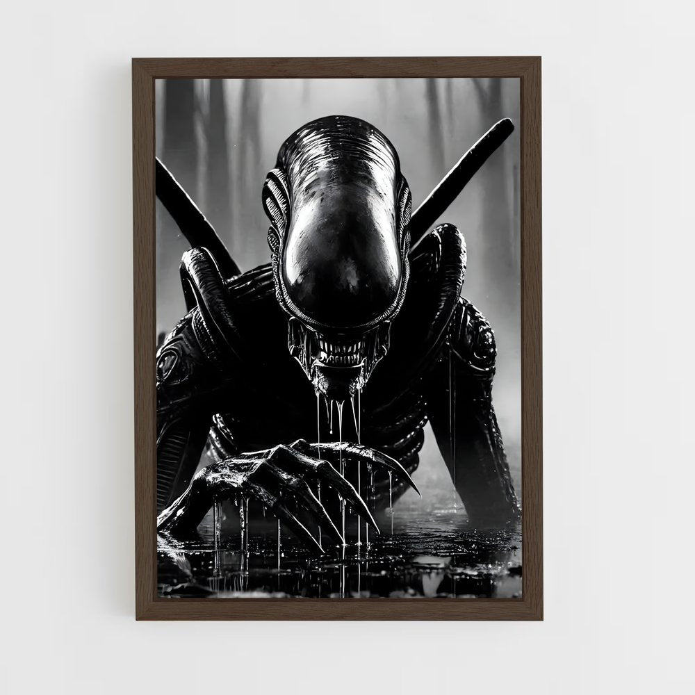 ap-xenomorph-3 cadre Bois foncé