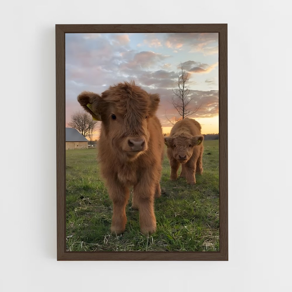 cow-2 cadre Bois foncé