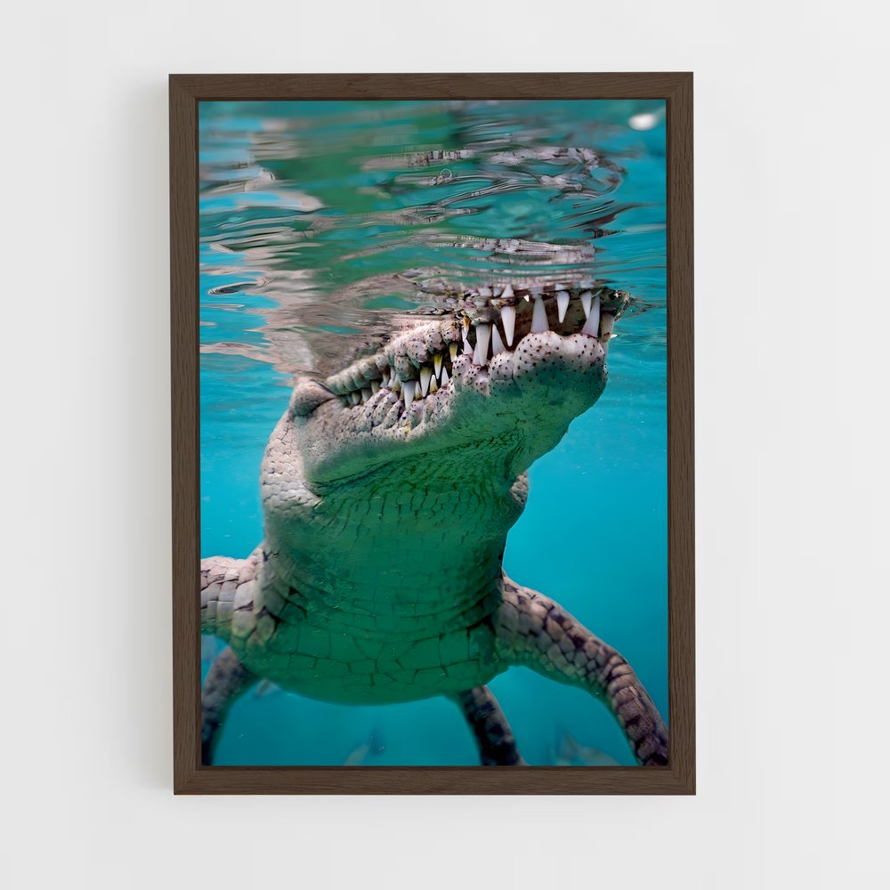 crocodile-8 cadre Bois foncé