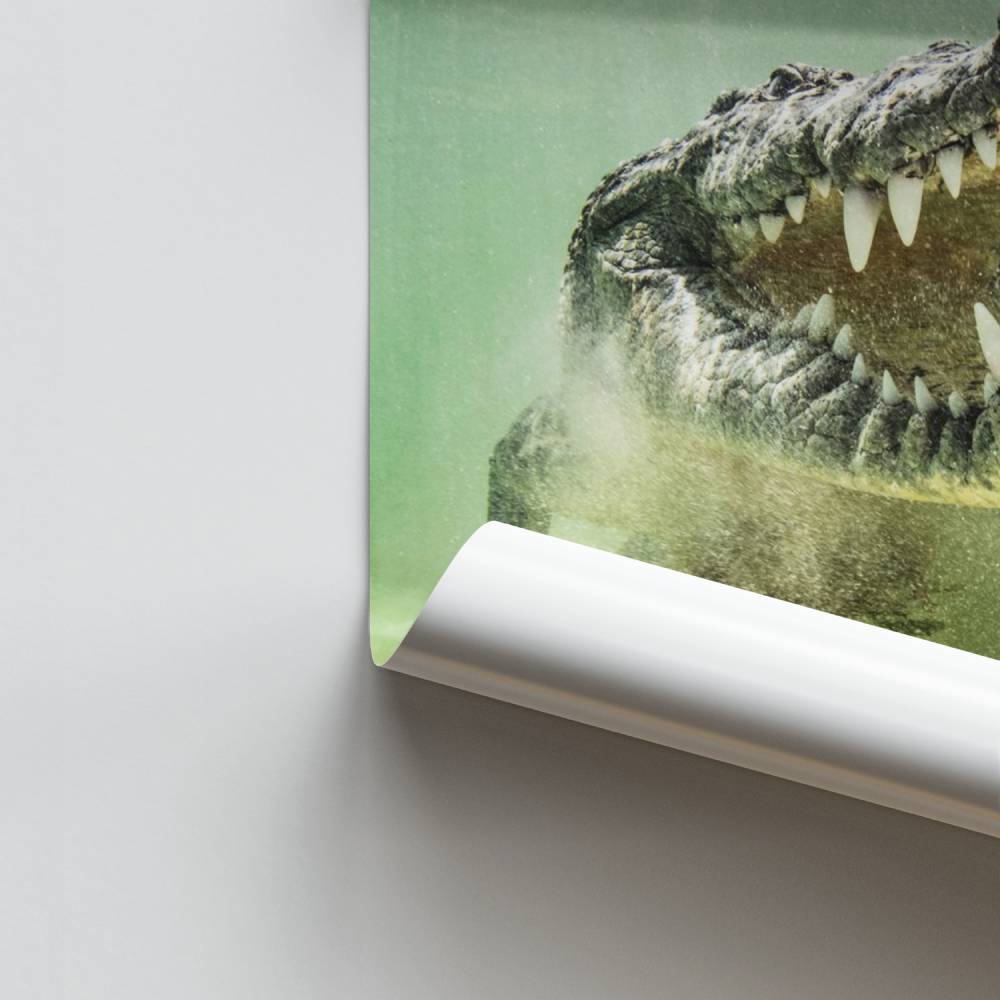 Poster Alligator Dents