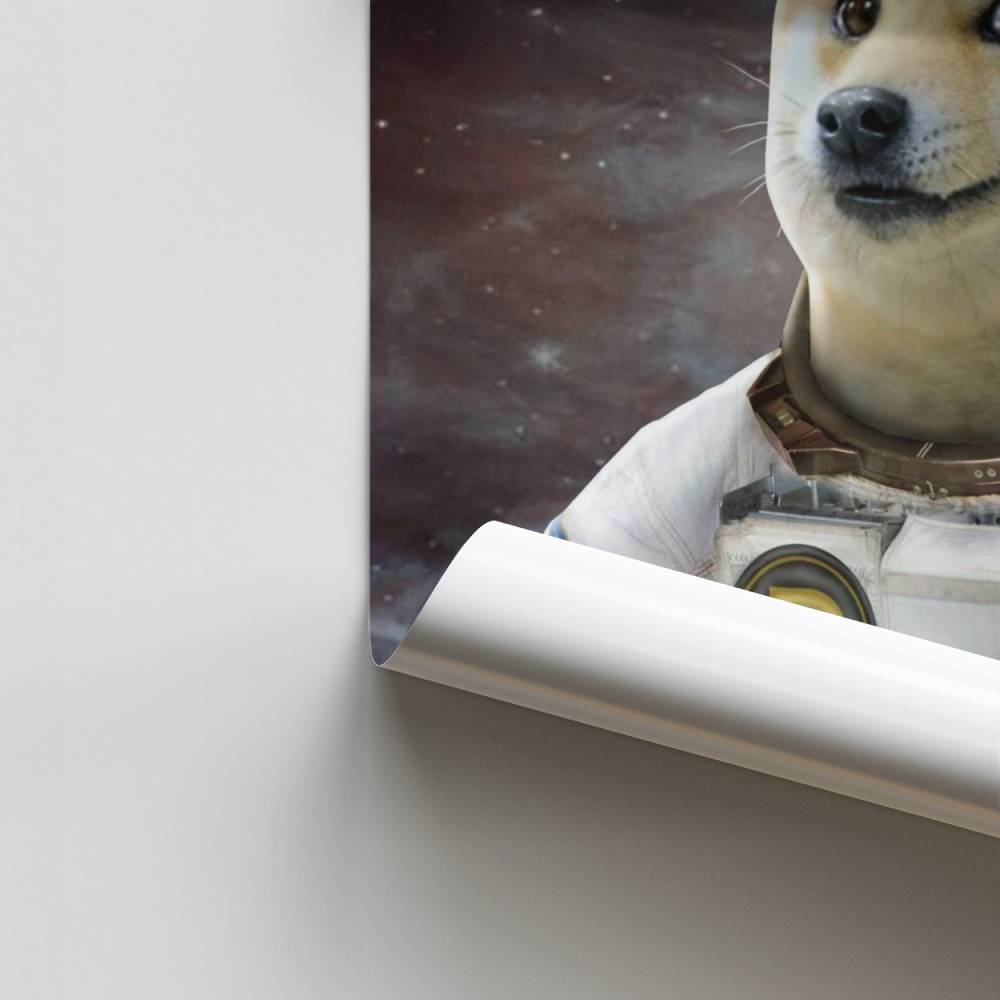 Poster Doge dans l'espace