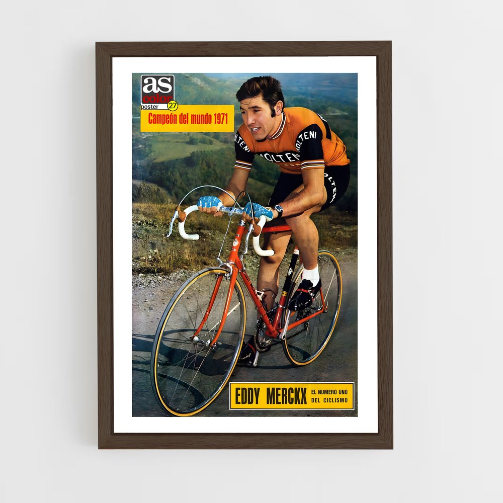 cyclism-15 cadre Bois foncé
