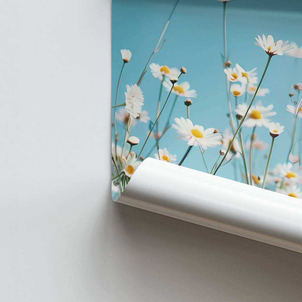 Poster Champ de Marguerites