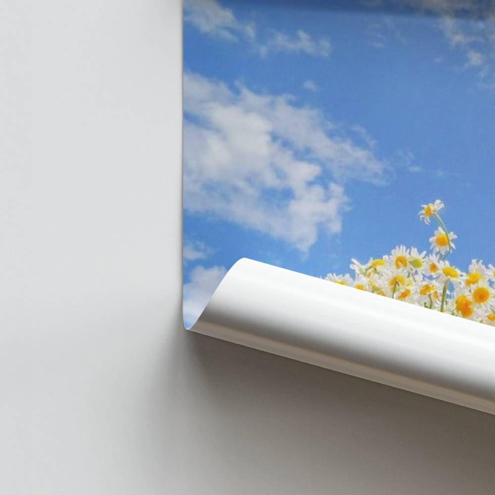 Poster Éclosion Céleste