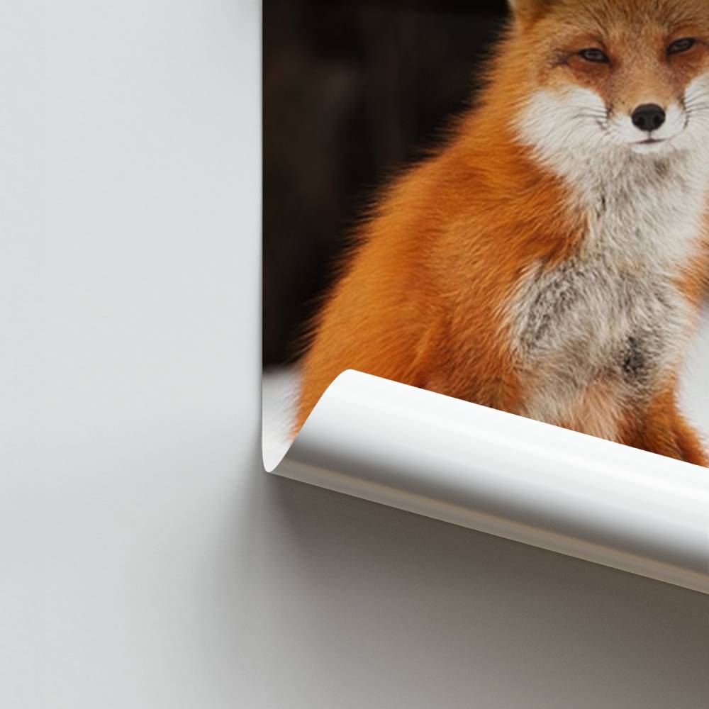 Poster Renard Enneigé