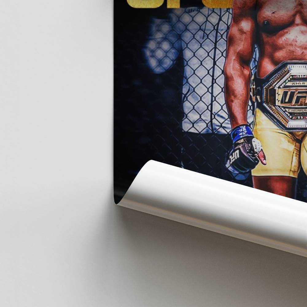 Poster Never Left the UFC