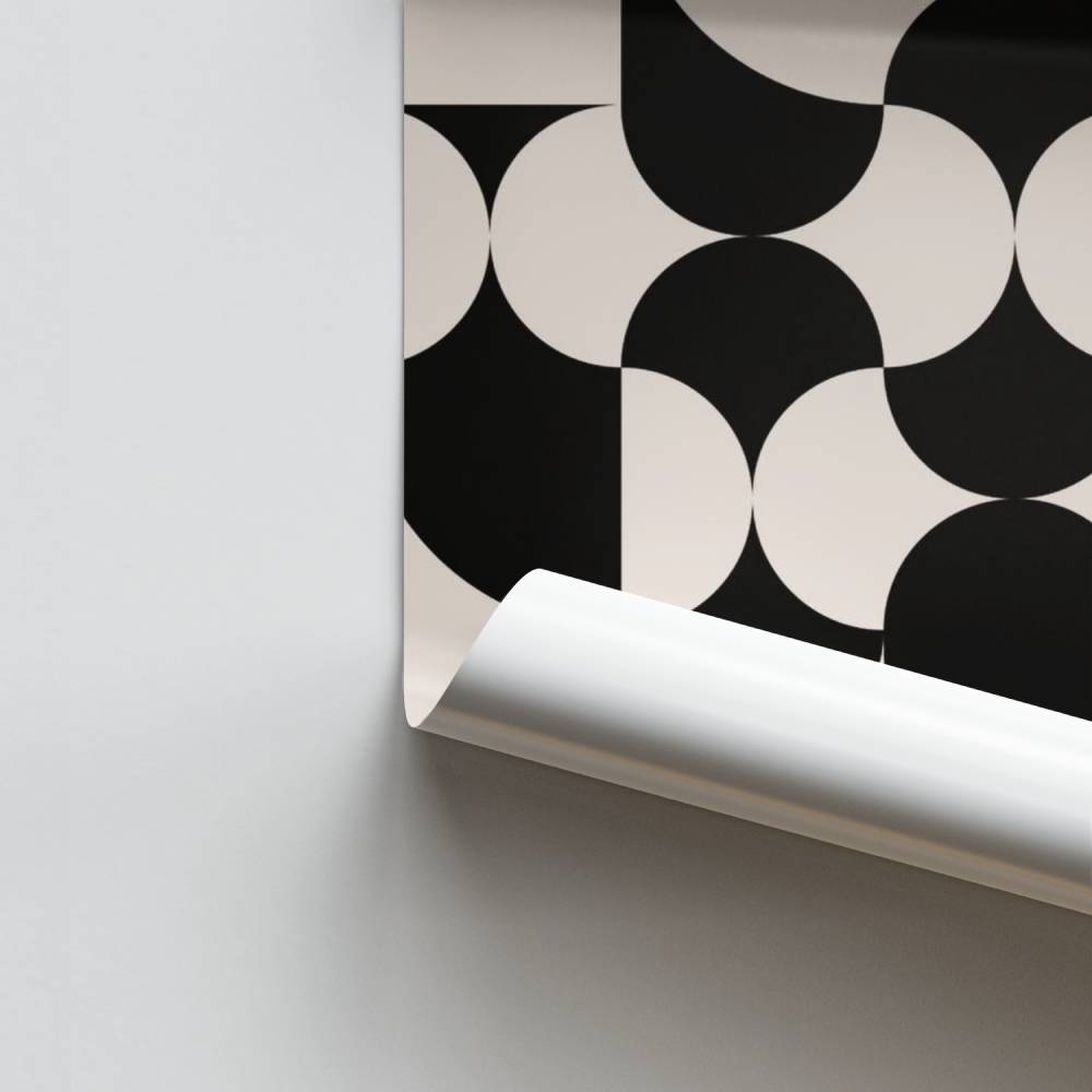 Poster Formes Énigmatiques