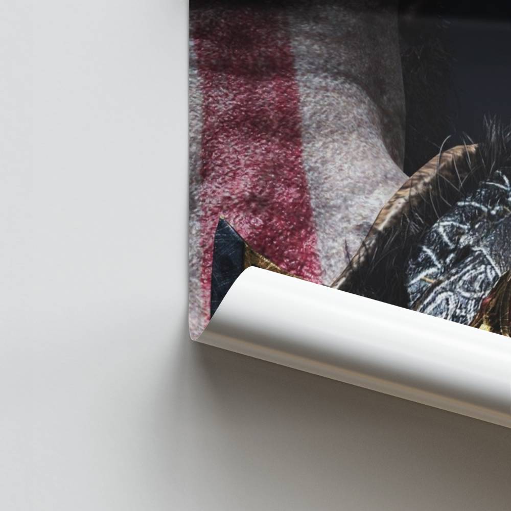 Poster Guerrier Nordique