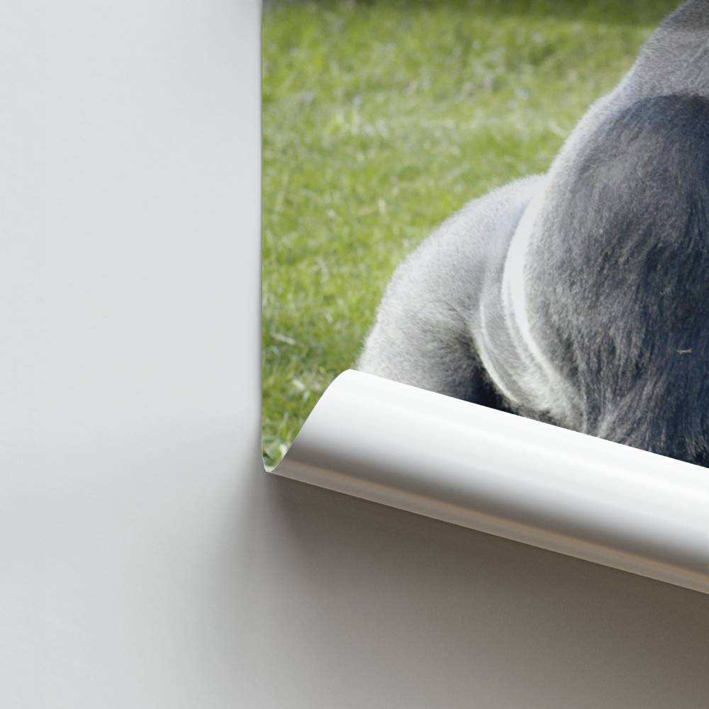 Poster Force Sauvage