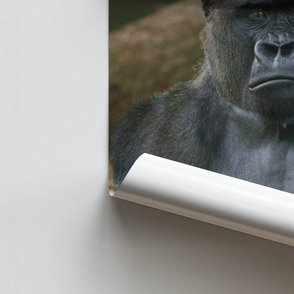 Poster Force Majestueuse