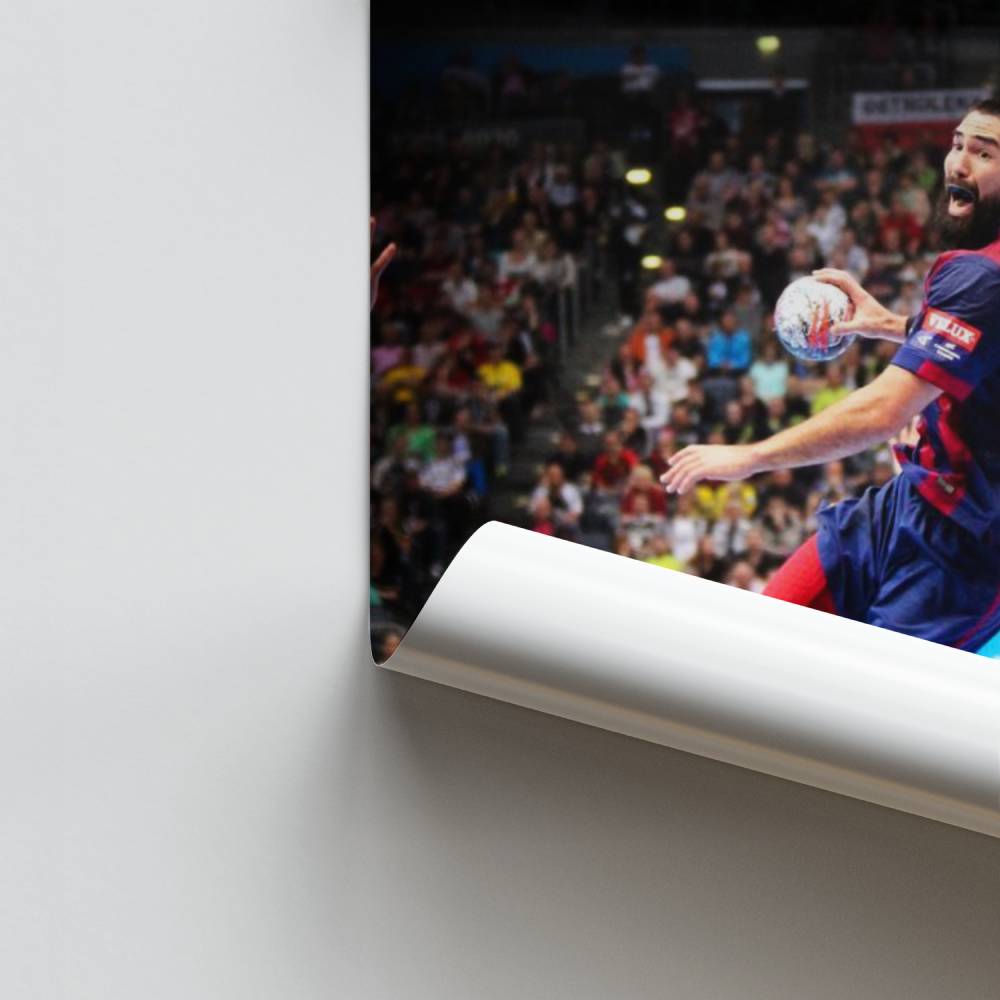 Poster Saut Audacieux