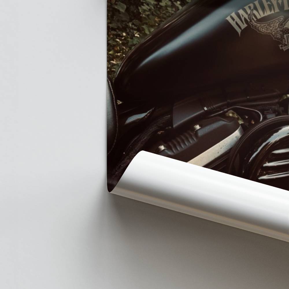 Poster Esprit V-Twin