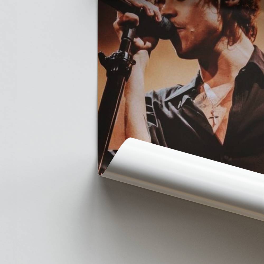 Poster Harry Styles Concert
