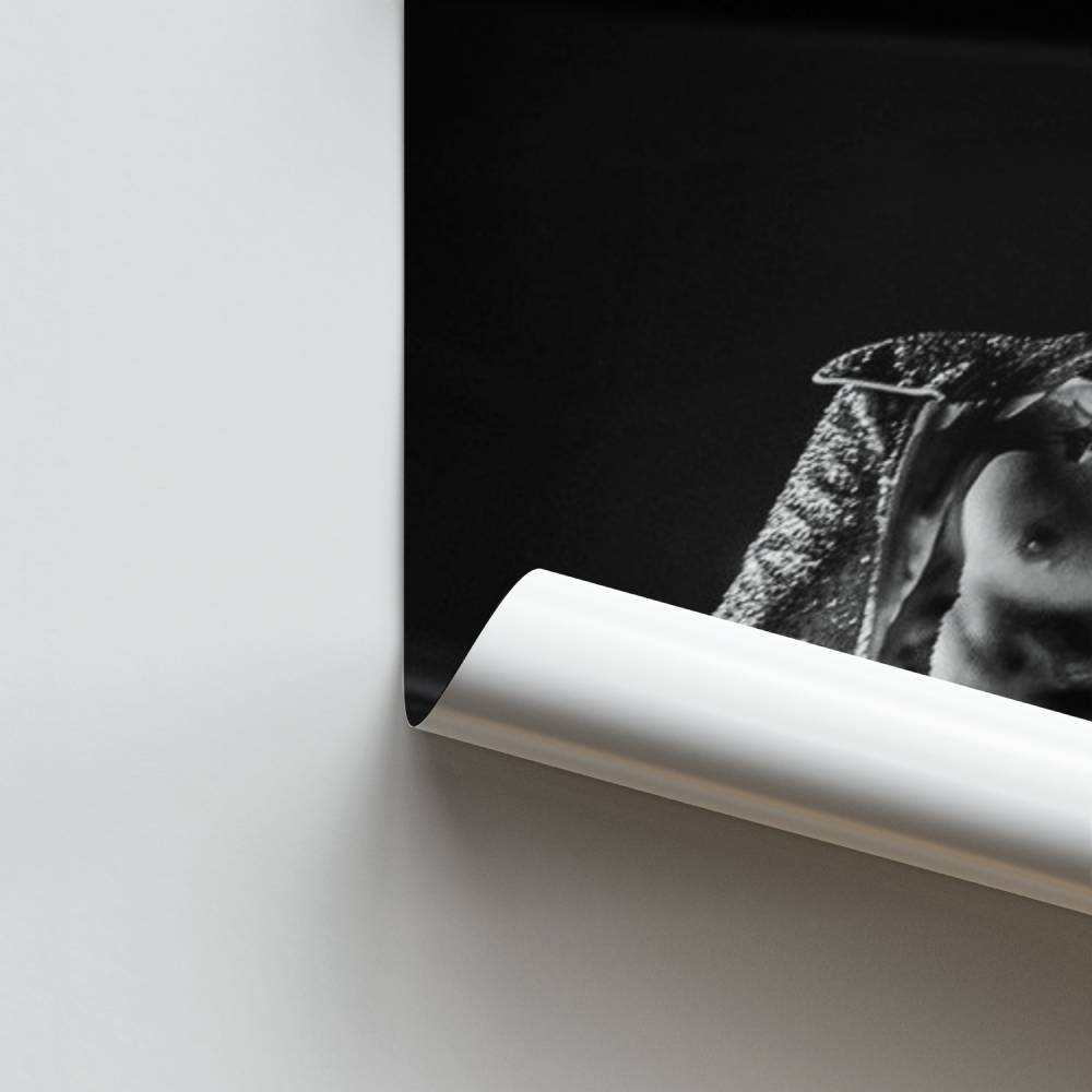 Poster Harry Styles Torse