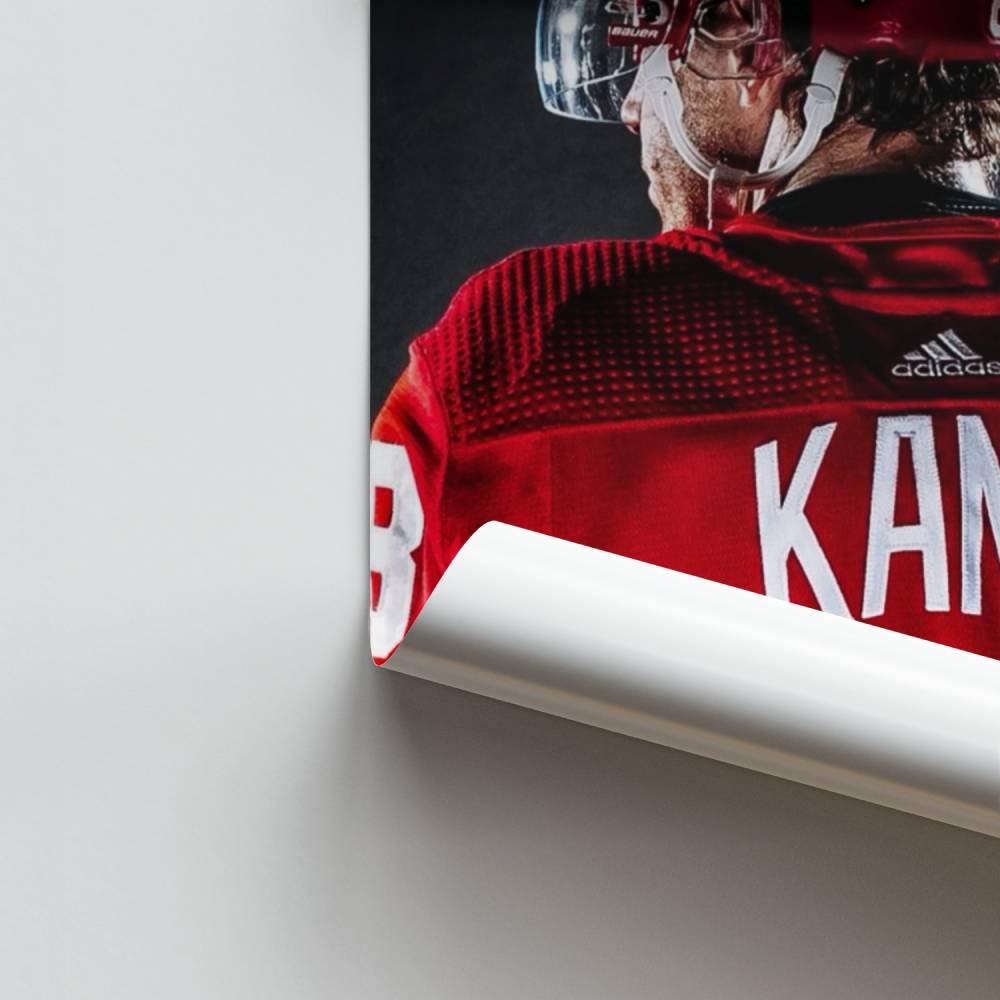 Poster Champion du Hockey